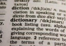 Dictionary result including the phonetic transcription of the word dictionary